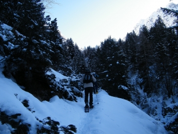 12 2010-02-21 Alpe Bruseda 011