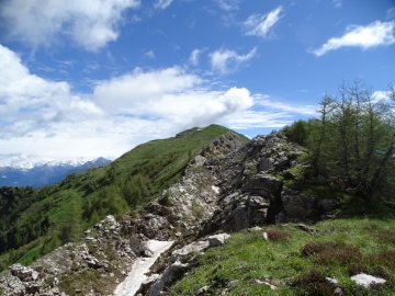 2016-06-15 cima di Tanerle e Sfandita (32)