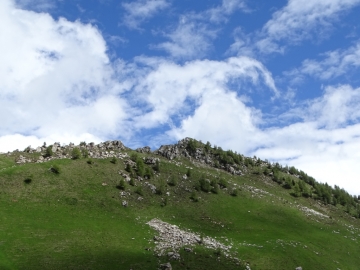 2016-06-15 cima di Tanerle e Sfandita (42)