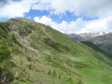 2016-06-15 cima di Tanerle e Sfandita (49)
