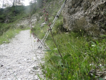 2010-07-10 monte pez 073