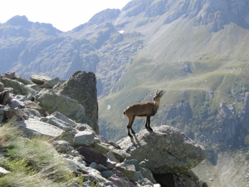 2010-09-04 P.zo Becco 014