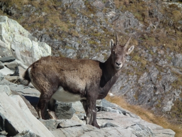 2011-10-31 valle Avert 032