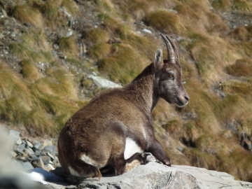 2011-10-31 valle Avert 064