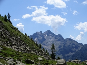 2018-07-28 monte Cauriol (66)