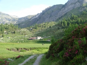 2017-06-21 monte Remà valle Aperta (10)