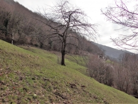 2018-03-25 Valle del Giongo (29)