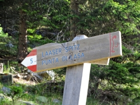 2017-08-03 Punta di Lasa Orgelspitze (12)