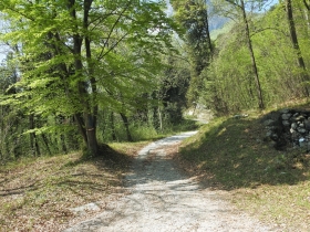 2018-04-22 sentiero degli Scaloni Dro Ceniga (151)