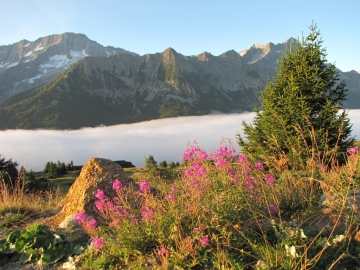 2009-09-01 sentiero alpini abiolo 001.jpg
