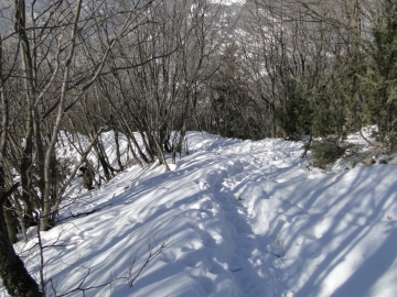 2012-02-15 Monte Bronzone 042