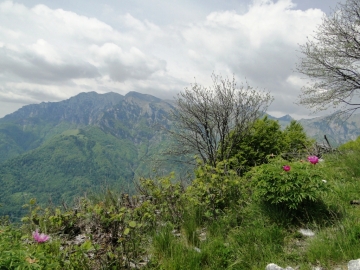 13 2012-05-27 Monte Misone 059