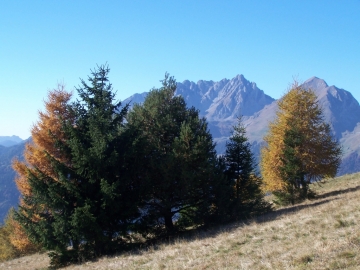 29 ottobre 2005 monte Vaccio (11)