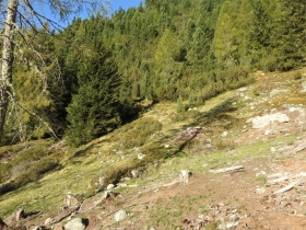 2018-09-29 Radelspitze cima Rodella (16)