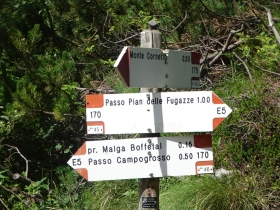 2016-07-09 Cornetto Pasubio (71)