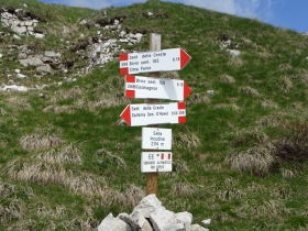 2016-06-19 Pasubio cima Palon (32)