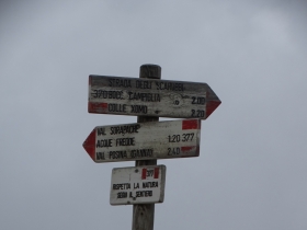 2016-06-19 Pasubio cima Palon (53)