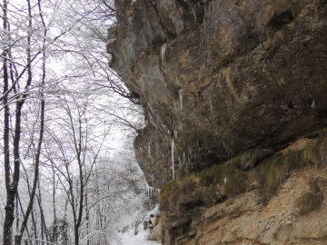 2013-02-23 Campei de Cima da Gaino 010