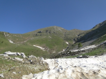 02 2014-06-08 Quasi passo del Re 001