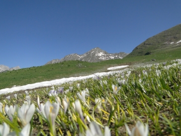 06 2014-06-08 Quasi passo del Re 010