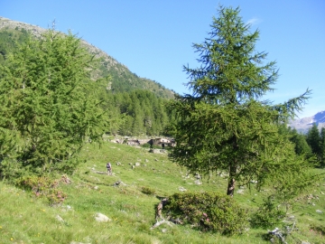 000 2008-07-5 Valle delle messi 003