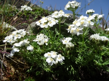 2015-07-04_05 rifugio Corti 040