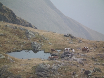 2010-10-13 laghi alti val sanguigno 124
