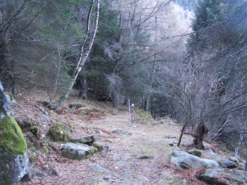 00 2007-12-01 val braone 022