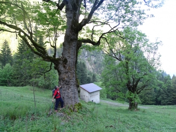 2016-05-25 val Lorini Caplone (17)