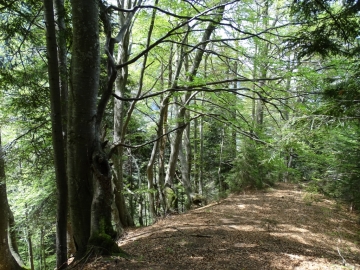 2016-05-25 val Lorini Caplone (55)