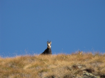 2009-11-25 lago Avert 038
