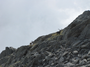 2009-08-07 val canè 076