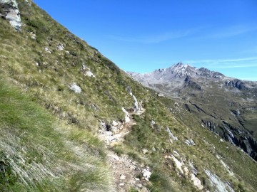 al-biv_Linge-da-Monticelli-28