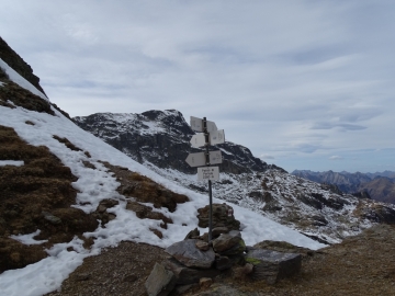 14 2015-11-15 passo Portula laghi Cardeto 029