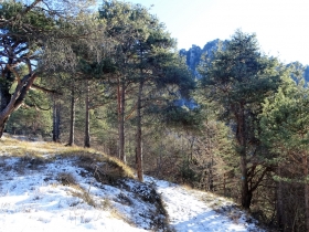 18-01-2016 passo Cocca da Vesta (26)