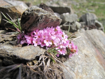 2009-06-01_02 passo maurone 108