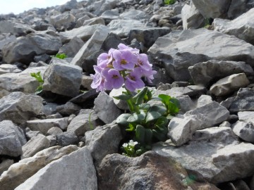 2019-07-27-anello-passo-Grostè-15