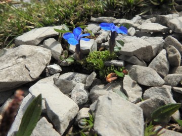 2019-07-27-anello-passo-Grostè-30