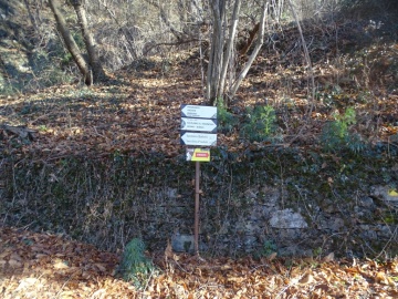 2025-02-02-Annunciata-19