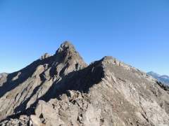 anticima Sud del monte Gavia