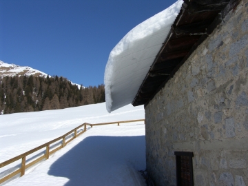 2008-02-24 vermogoi 012.jpg