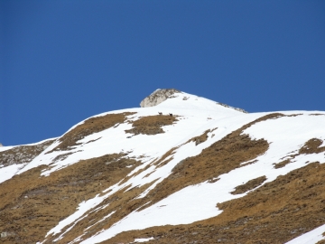 2008-02-24 vermogoi 013.jpg