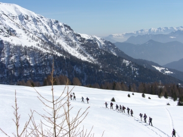 2008-02-24 vermogoi 014.jpg