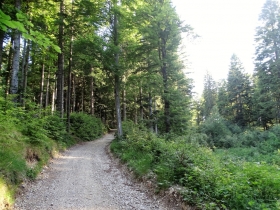 2017-06-18 Becco di Filadonna (11)