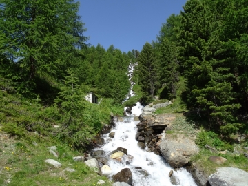 04 2015-07-04_05 rifugio Corsi (101)