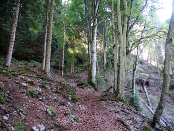 2019-06-23 bocchetta di Tortavai (11)