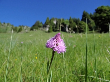 2019-06-23 bocchetta di Tortavai (16)