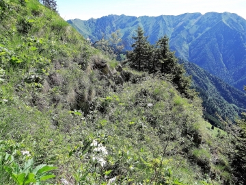 2019-06-23 bocchetta di Tortavai (29)