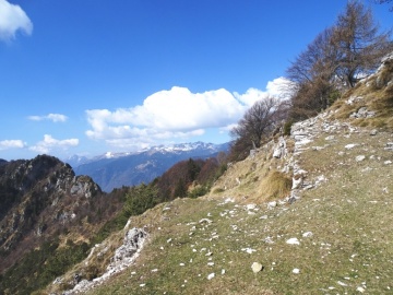 2023-04-08-cima-Borei-da-Tiarno-28