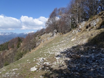 2023-04-08-cima-Borei-da-Tiarno-31